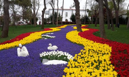 Isztambuli tulipánfesztivál